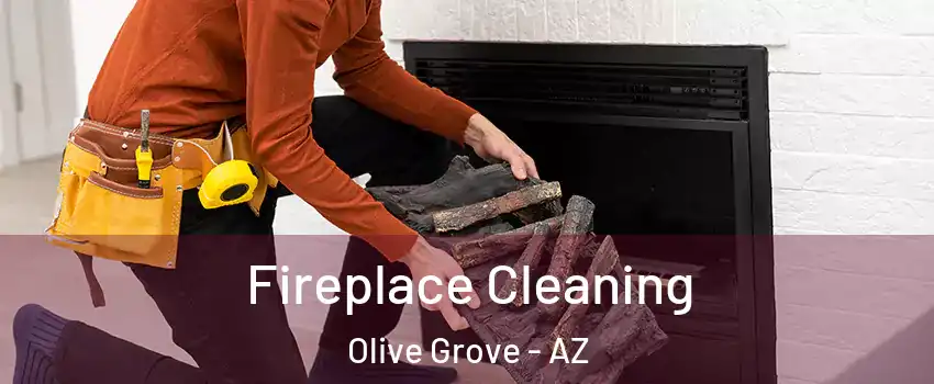 Fireplace Cleaning Olive Grove - AZ