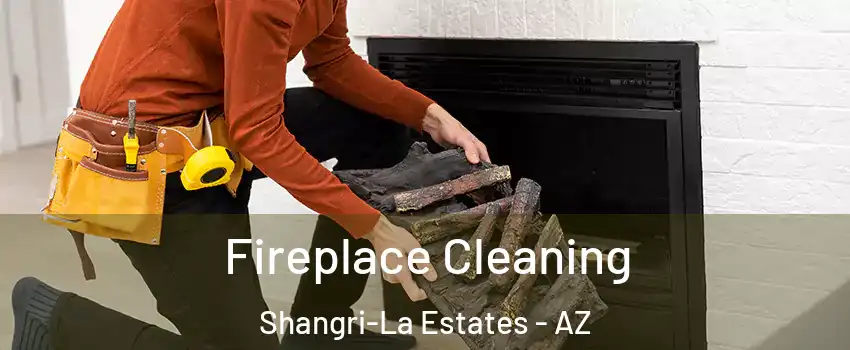 Fireplace Cleaning Shangri-La Estates - AZ