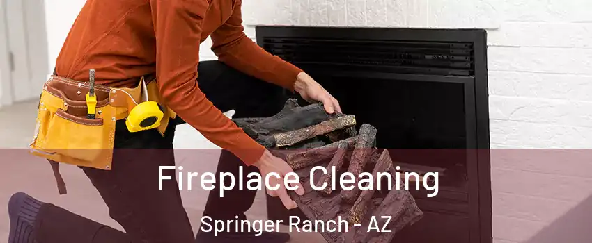 Fireplace Cleaning Springer Ranch - AZ