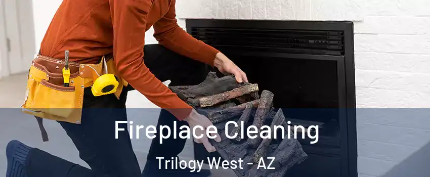 Fireplace Cleaning Trilogy West - AZ