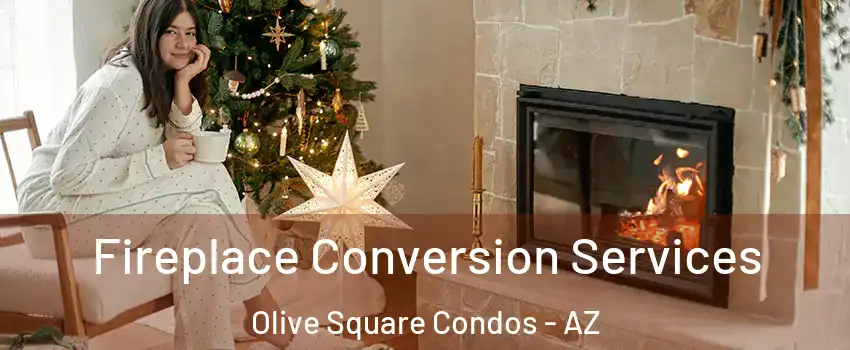 Fireplace Conversion Services Olive Square Condos - AZ