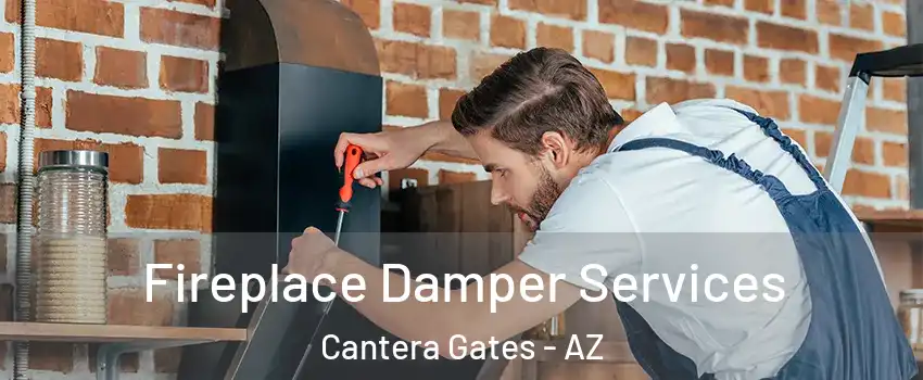Fireplace Damper Services Cantera Gates - AZ