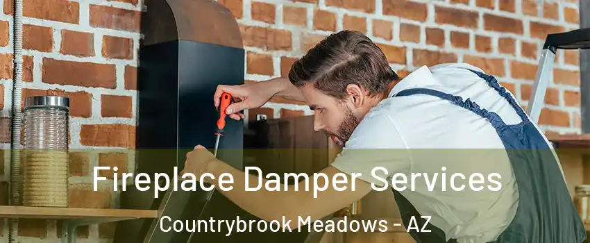 Fireplace Damper Services Countrybrook Meadows - AZ