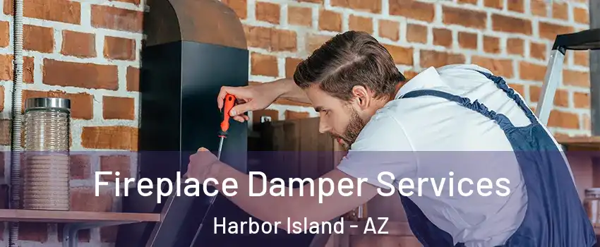 Fireplace Damper Services Harbor Island - AZ