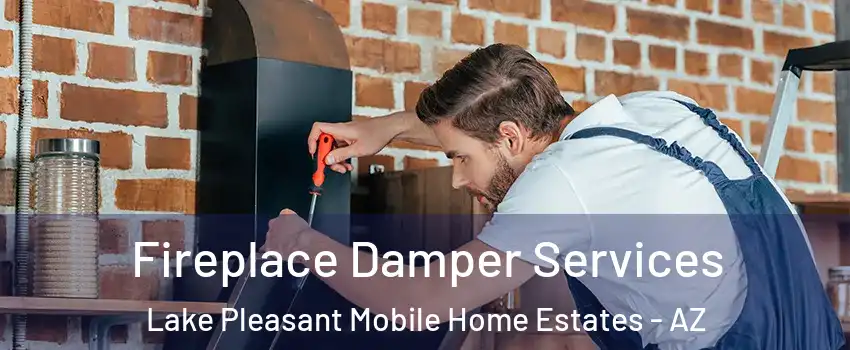 Fireplace Damper Services Lake Pleasant Mobile Home Estates - AZ