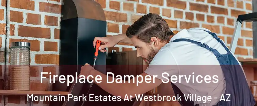 Fireplace Damper Services Mountain Park Estates At Westbrook Village - AZ