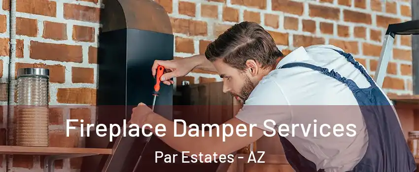 Fireplace Damper Services Par Estates - AZ