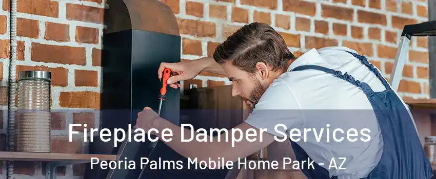 Fireplace Damper Services Peoria Palms Mobile Home Park - AZ