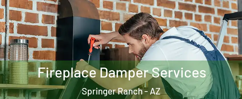 Fireplace Damper Services Springer Ranch - AZ