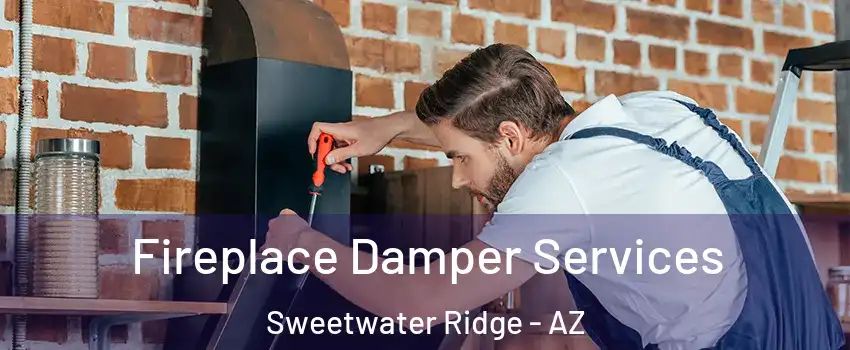 Fireplace Damper Services Sweetwater Ridge - AZ