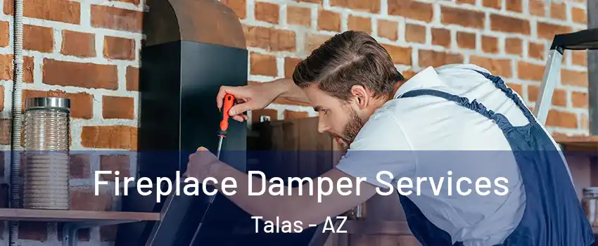 Fireplace Damper Services Talas - AZ