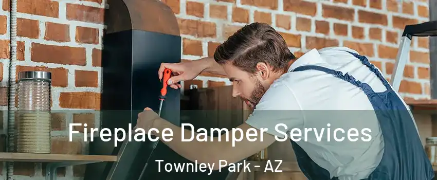Fireplace Damper Services Townley Park - AZ