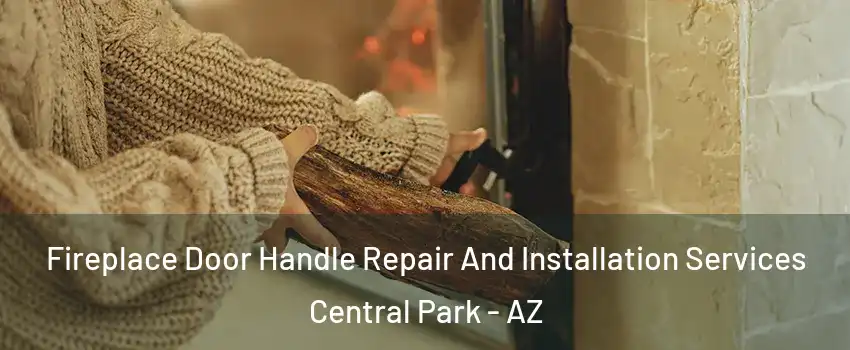 Fireplace Door Handle Repair And Installation Services Central Park - AZ