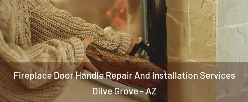 Fireplace Door Handle Repair And Installation Services Olive Grove - AZ