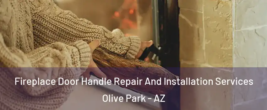 Fireplace Door Handle Repair And Installation Services Olive Park - AZ