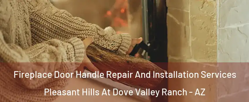Fireplace Door Handle Repair And Installation Services Pleasant Hills At Dove Valley Ranch - AZ