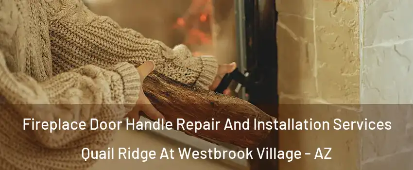 Fireplace Door Handle Repair And Installation Services Quail Ridge At Westbrook Village - AZ