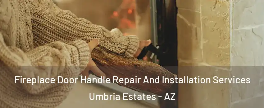 Fireplace Door Handle Repair And Installation Services Umbria Estates - AZ