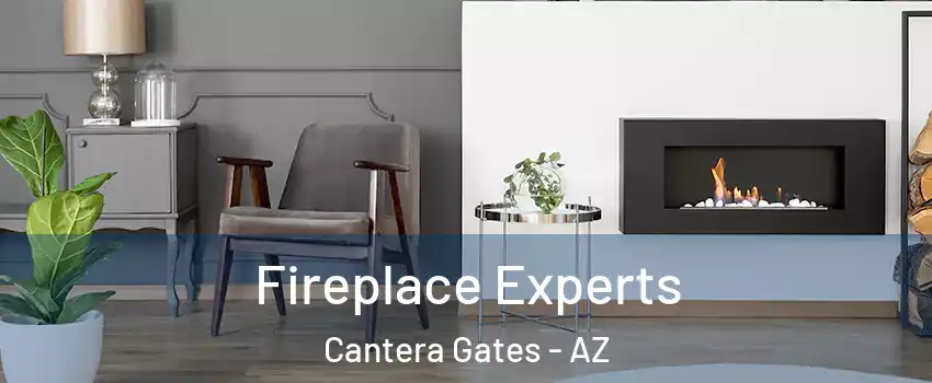 Fireplace Experts Cantera Gates - AZ