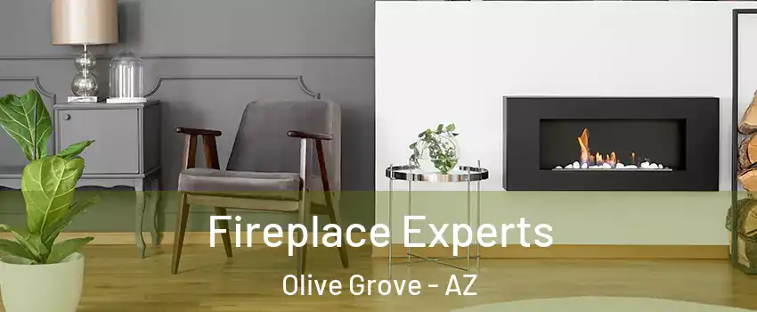 Fireplace Experts Olive Grove - AZ