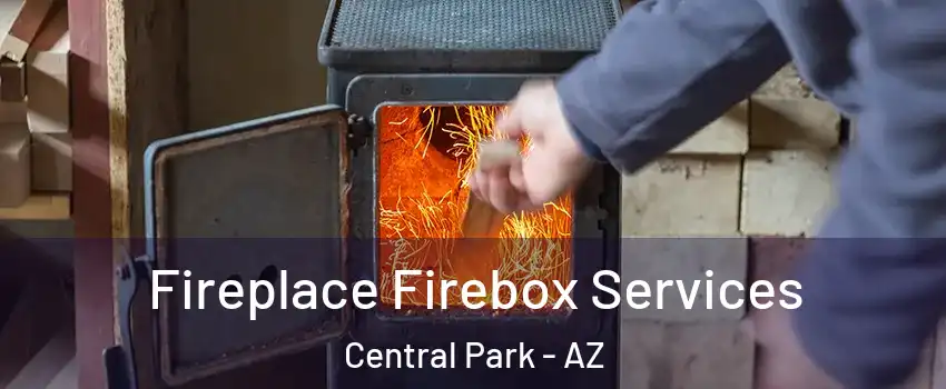 Fireplace Firebox Services Central Park - AZ