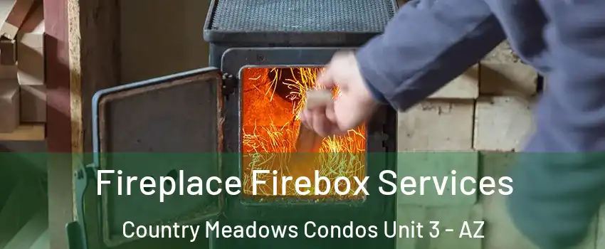 Fireplace Firebox Services Country Meadows Condos Unit 3 - AZ