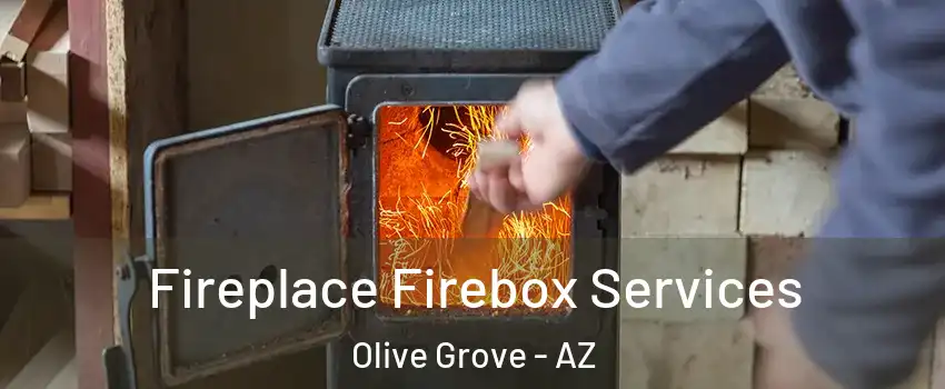 Fireplace Firebox Services Olive Grove - AZ