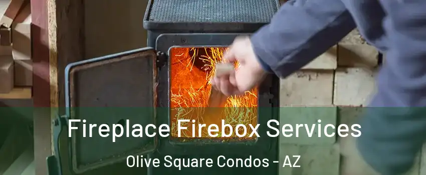Fireplace Firebox Services Olive Square Condos - AZ