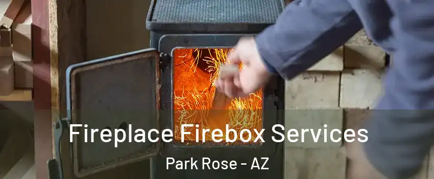 Fireplace Firebox Services Park Rose - AZ