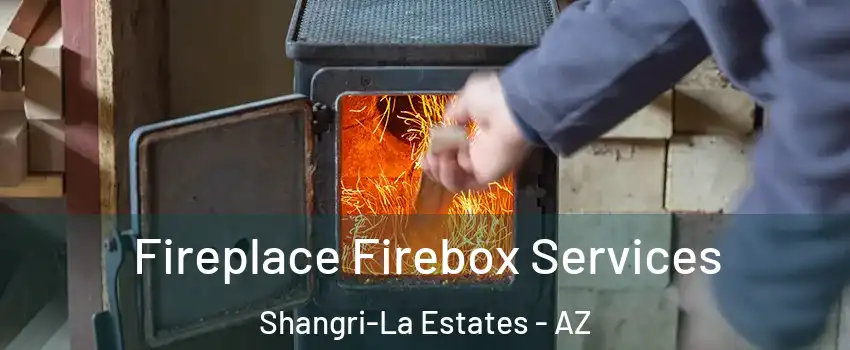 Fireplace Firebox Services Shangri-La Estates - AZ