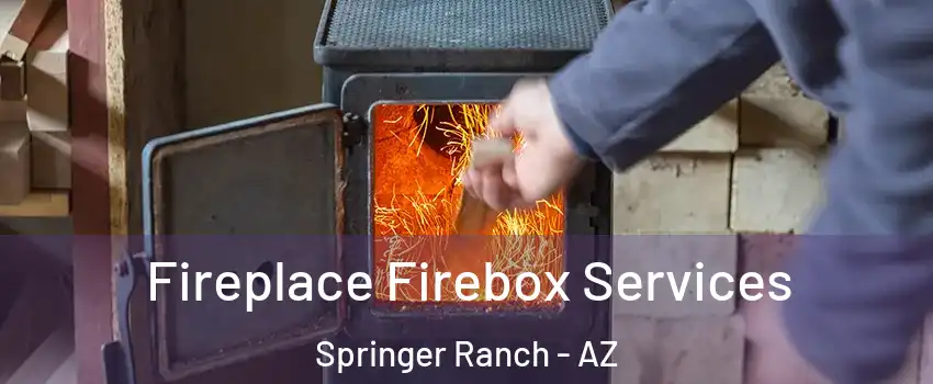 Fireplace Firebox Services Springer Ranch - AZ