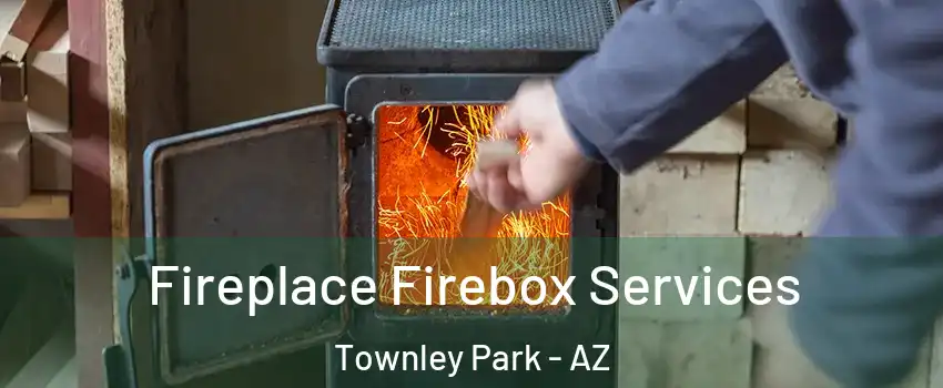 Fireplace Firebox Services Townley Park - AZ