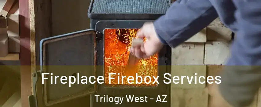 Fireplace Firebox Services Trilogy West - AZ