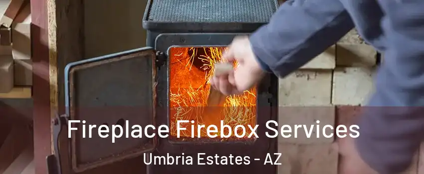 Fireplace Firebox Services Umbria Estates - AZ