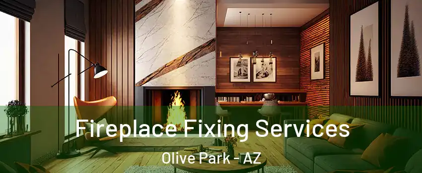 Fireplace Fixing Services Olive Park - AZ