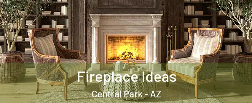 Fireplace Ideas Central Park - AZ