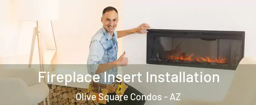 Fireplace Insert Installation Olive Square Condos - AZ