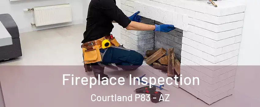 Fireplace Inspection Courtland P83 - AZ