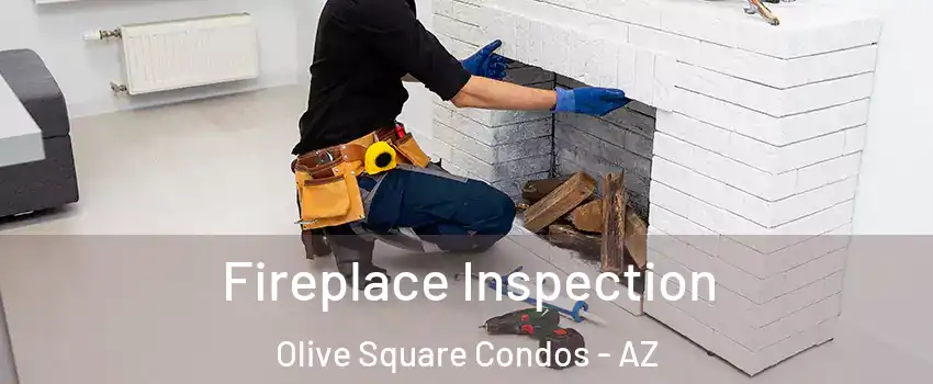 Fireplace Inspection Olive Square Condos - AZ