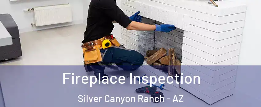 Fireplace Inspection Silver Canyon Ranch - AZ
