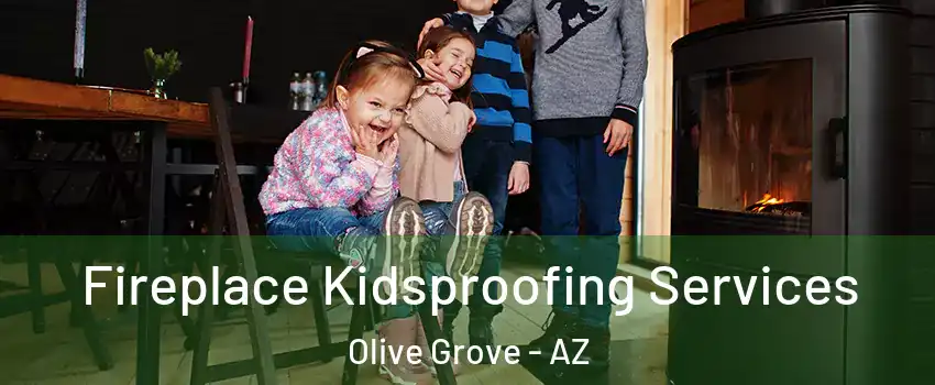Fireplace Kidsproofing Services Olive Grove - AZ