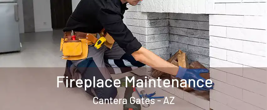 Fireplace Maintenance Cantera Gates - AZ
