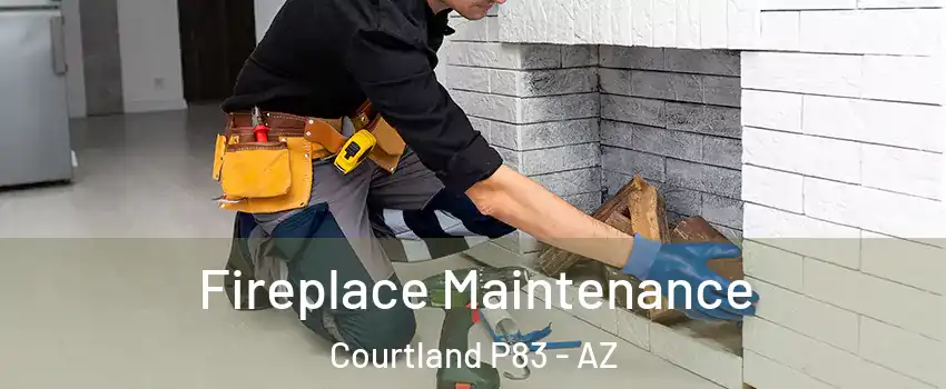 Fireplace Maintenance Courtland P83 - AZ