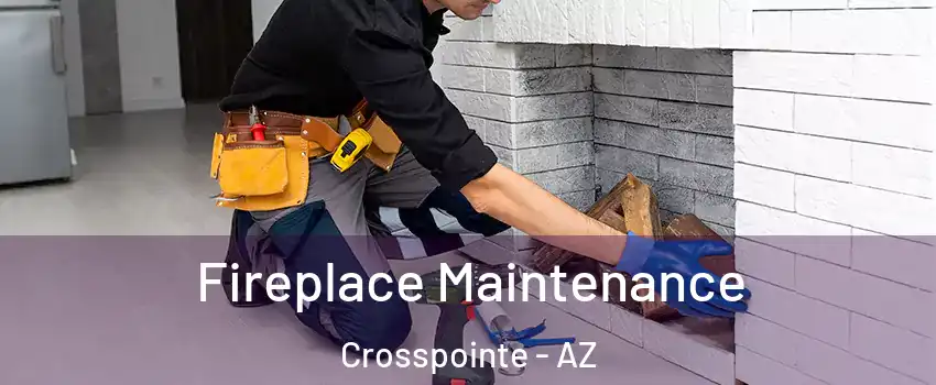 Fireplace Maintenance Crosspointe - AZ