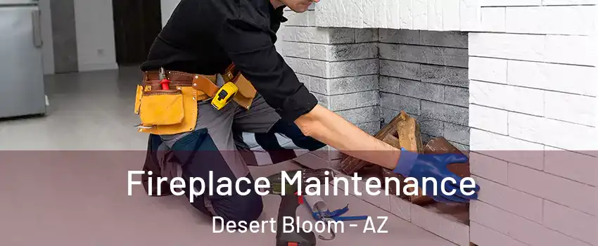 Fireplace Maintenance Desert Bloom - AZ