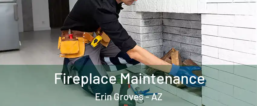 Fireplace Maintenance Erin Groves - AZ