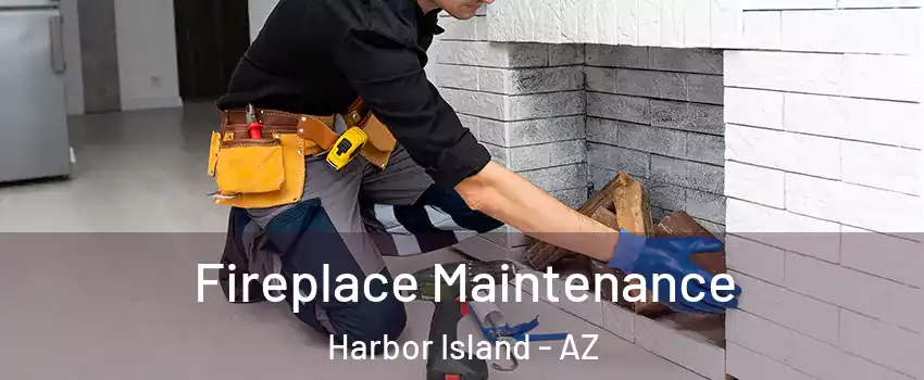 Fireplace Maintenance Harbor Island - AZ