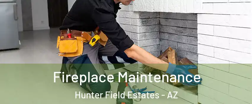 Fireplace Maintenance Hunter Field Estates - AZ