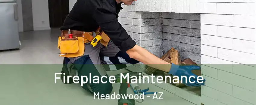 Fireplace Maintenance Meadowood - AZ