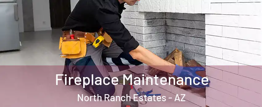 Fireplace Maintenance North Ranch Estates - AZ